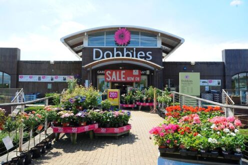 Dobbies reports sales up 36% to £304m