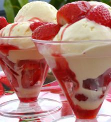 Ice cream makers top summer appliance sales