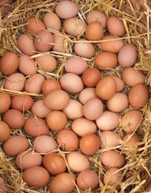Get cracking for British Egg Week 