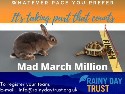 Best foot forward! Rainy Day Trust launches Mad March Million